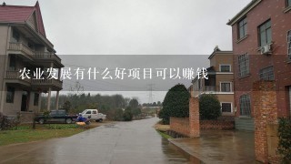 农业发展有什么好项目可以赚钱