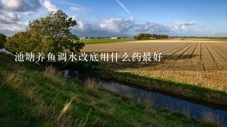 池塘养鱼调水改底用什么药最好