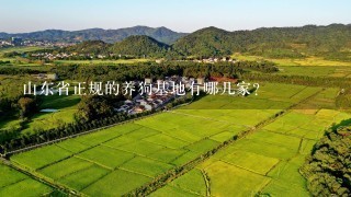 山东省正规的养狗基地有哪几家？