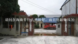 请问在海南养什么鸡最好，而且比较赚钱30