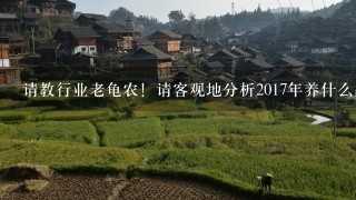 请教行业老龟农！请客观地分析2017年养什么品种的龟回报快？