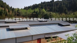 湖南常德有肉牛养殖场吗，在湖南常德养殖肉牛前景怎么样