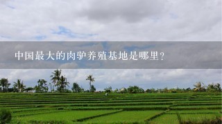 中国最大的肉驴养殖基地是哪里？