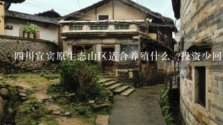 四川宜宾原生态山区适合养殖什么 ?投资少回报高风险