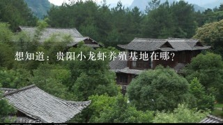 想知道: 贵阳小龙虾养殖基地在哪？