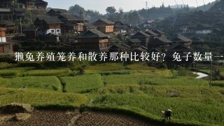 獭兔养殖笼养和散养那种比较好？兔子数量一百以上该用什么更科学的方法