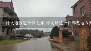 什么地方适合养龙虾 小龙虾适合在哪些地方养殖