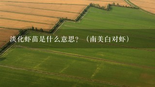 淡化虾苗是什么意思？（南美白对虾）