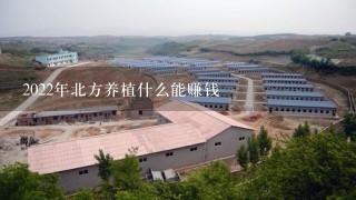 2022年北方养植什么能赚钱