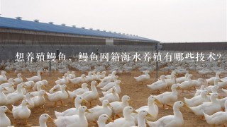 想养殖鳗鱼，鳗鱼网箱海水养殖有哪些技术？