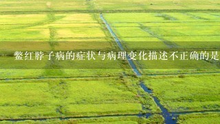 鳖红脖子病的症状与病理变化描述不正确的是（）A、温度在18℃以上时流行B、对各种规格的鳖都有危害，尤其对幼鳖危害最为严重...