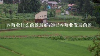 养殖业什么前景最好:2013养殖业发展前景