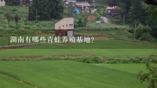 湖南有哪些青蛙养殖基地？