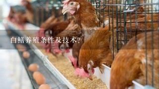 白鳝养殖条件及技术？