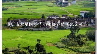 重庆市大足区瑶华小龙虾养殖场怎么样？