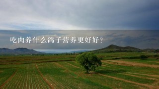 吃肉养什么鸽子营养更好好？