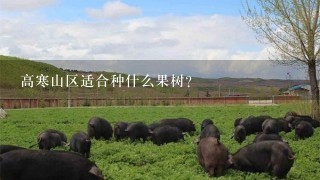 高寒山区适合种什么果树？