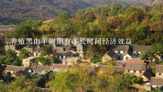 养殖黑山羊周期有多长时间经济效益