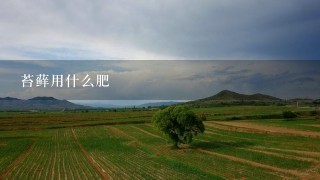 苔藓用什么肥