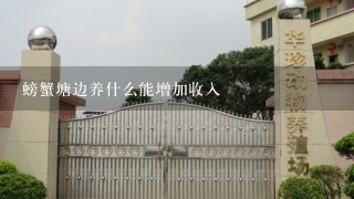 螃蟹塘边养什么能增加收入