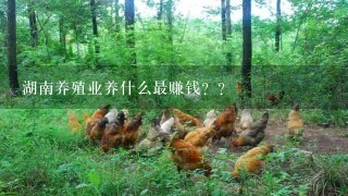 湖南养殖业养什么最赚钱？？