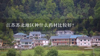 江苏苏北地区种什么药材比较好？