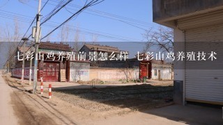 7彩山鸡养殖前景怎么样 7彩山鸡养殖技术