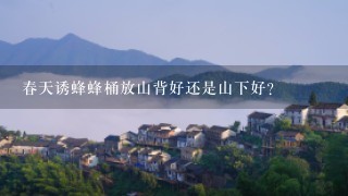 春天诱蜂蜂桶放山背好还是山下好?