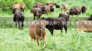 在广西养殖石蛙前景怎么样？销售如何，本人养殖石蛙