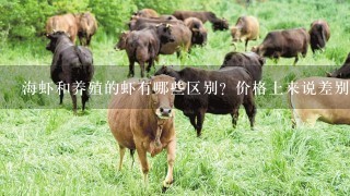 海虾和养殖的虾有哪些区别？价格上来说差别大吗？