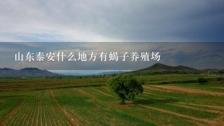 山东泰安什么地方有蝎子养殖场