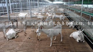 y有谁在养土元吗我搞了几次多养不成功。有谁成功的交流下