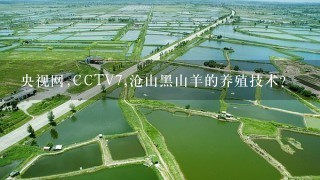 央视网,CCTV7,沧山黑山羊的养殖技术？