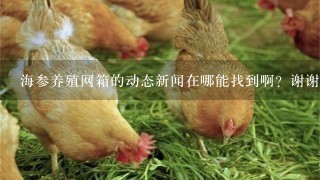 海参养殖网箱的动态新闻在哪能找到啊？谢谢