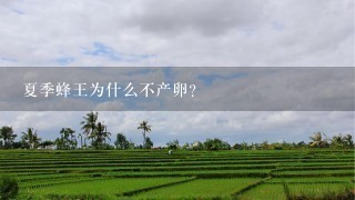 夏季蜂王为什么不产卵？