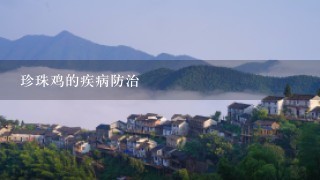 珍珠鸡的疾病防治