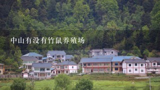 中山有没有竹鼠养殖场