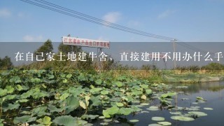 在自己家土地建牛舍，直接建用不用办什么手续？是农村种地的，不是住的房子改的