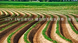 ccTV《每日农经》播出的养殖虫草那1期节目是真的吗？