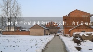 如今肉羊养殖成本和利润怎么样，肉羊养殖市场前景如何