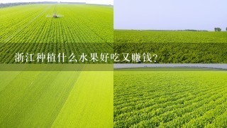 浙江种植什么水果好吃又赚钱？