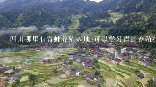 4川哪里有青蛙养殖基地?可以学习青蛙养殖技术ne?