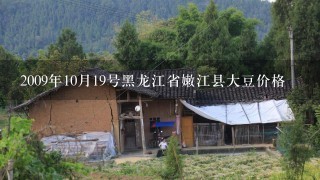 2009年10月19号黑龙江省嫩江县大豆价格