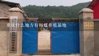 重庆什么地方有田螺养殖基地