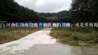 河南信阳有没有养殖泥鳅的基地，或是养殖泥鳅的专家，急。谢谢！