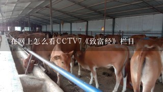 在网上怎么看CCTV7《致富经》栏目