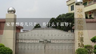 家里想养几只羊，养什么羊最好？