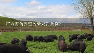 广西畜禽养殖污染处罚条例？