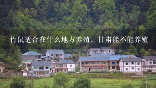 竹鼠适合在什么地方养殖，甘肃能不能养殖