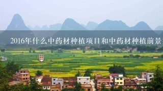 2016年什么中药材种植项目和中药材种植前景好？